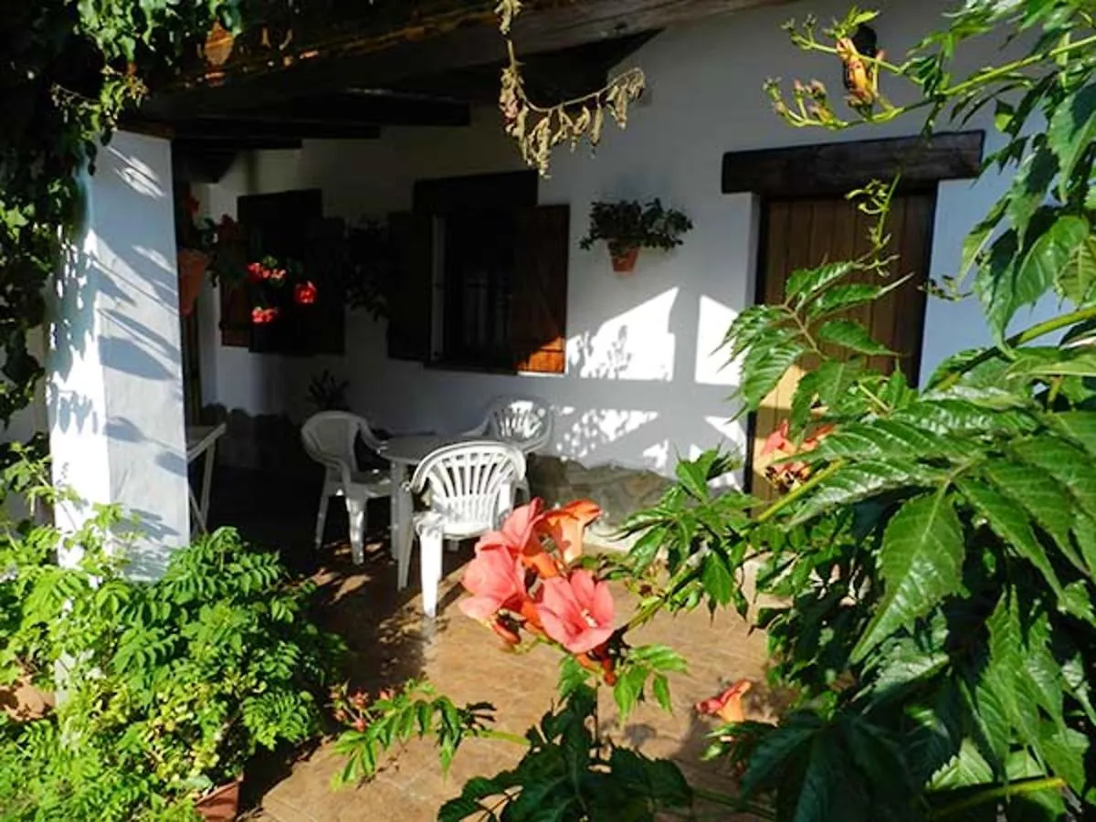 Apartment With 2 Bedrooms In Conil De La Frontera With Shared Pool Furnished Terrace And Wifi Spain