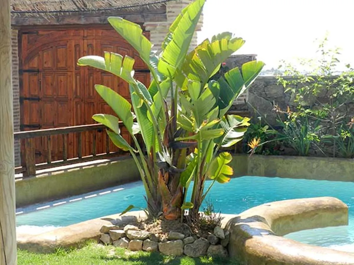 Apartment With 2 Bedrooms In Conil De La Frontera With Shared Pool Furnished Terrace And Wifi